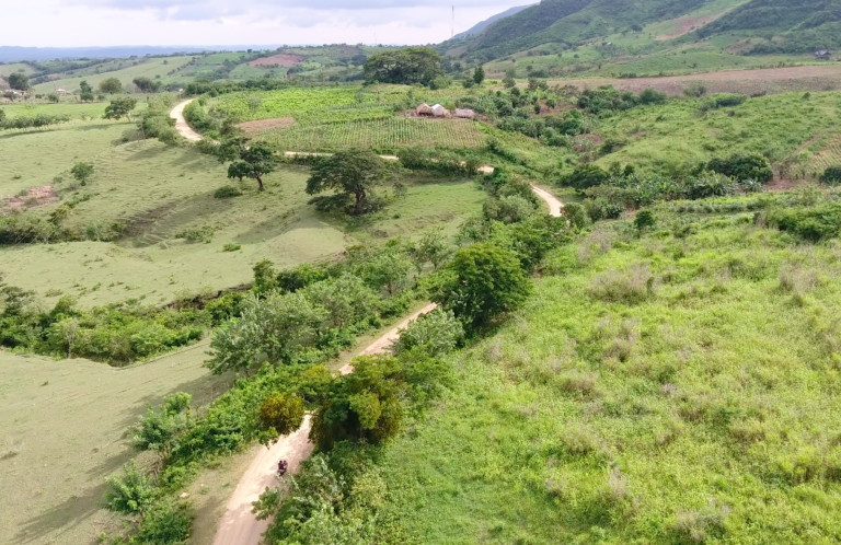 Una vista aérea de un camino de tierra en el campo.